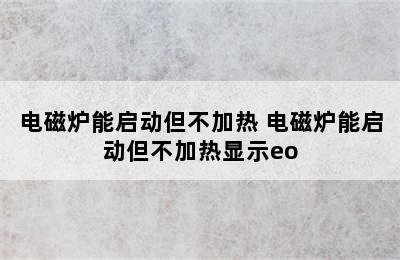 电磁炉能启动但不加热 电磁炉能启动但不加热显示eo